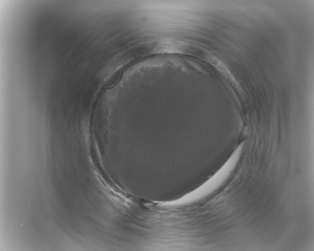 X0000070860386200606302051