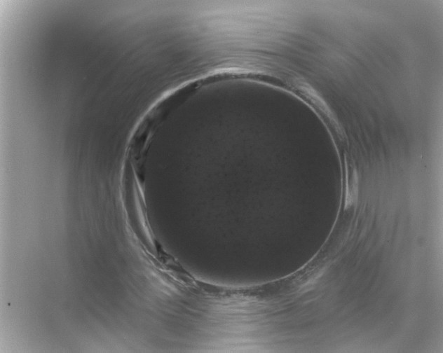 X0000070860387200606302051