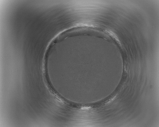 X0000070860388200606302051