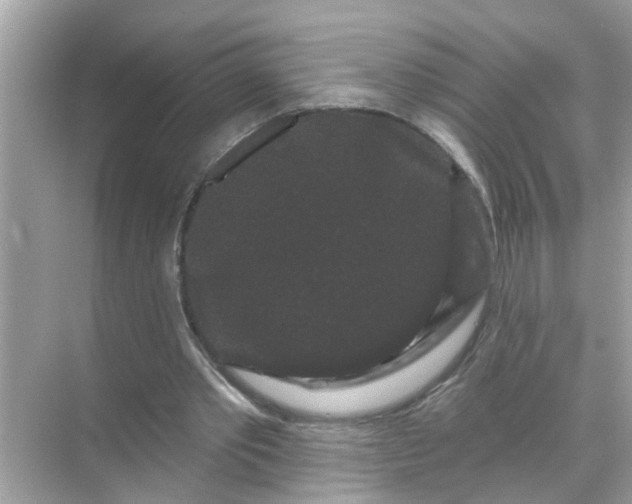 X0000070860389200606302051