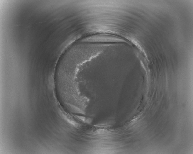 X0000070860390200606302051