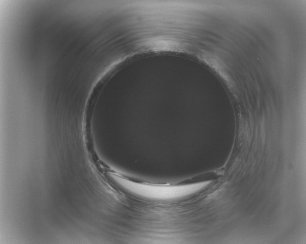 X0000070860391200606302051