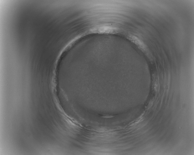 X0000070860392200606302051