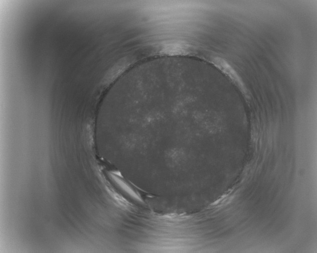 X0000070860393200606302051