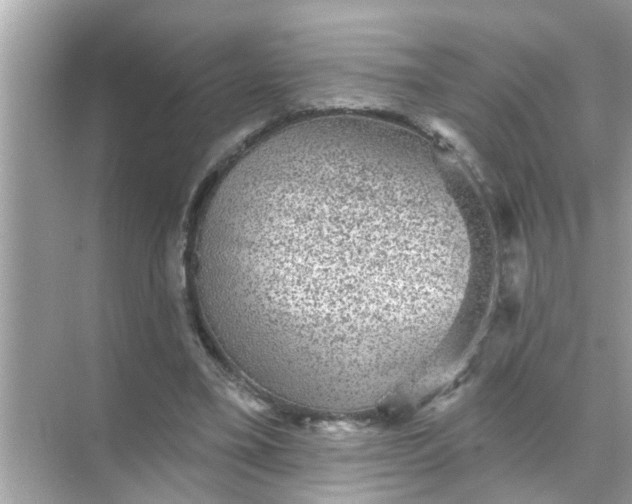 X0000070860395200606302051