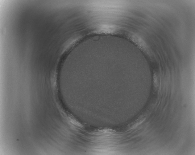 X0000070860396200606302051