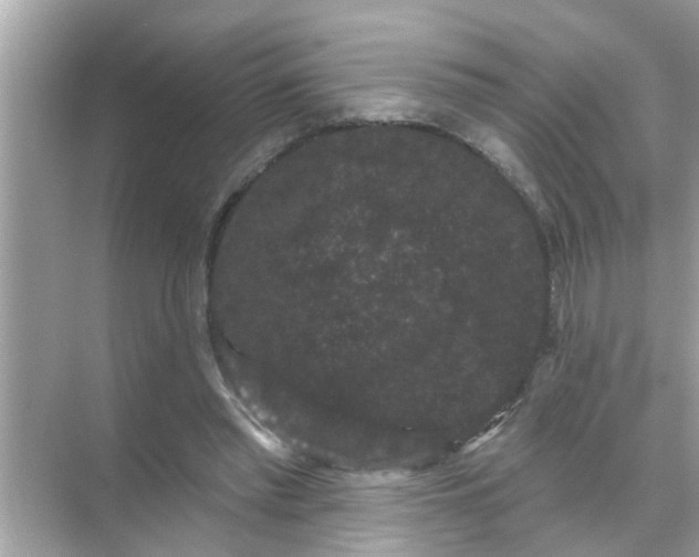 X0000070860397200606302051