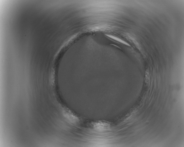 X0000070860400200606302051