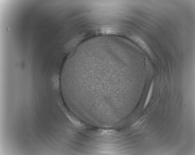 X0000070860401200606302051