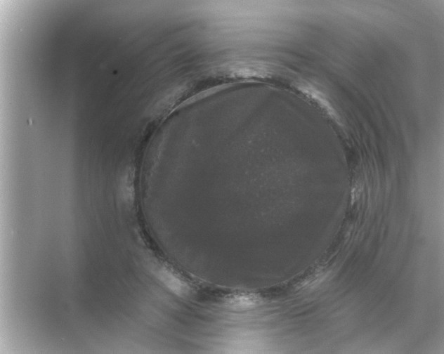 X0000070860402200606302051