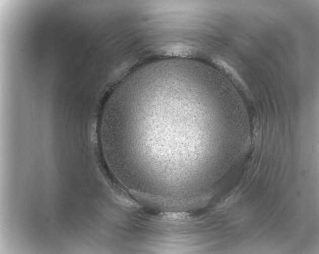 X0000070860403200606302051