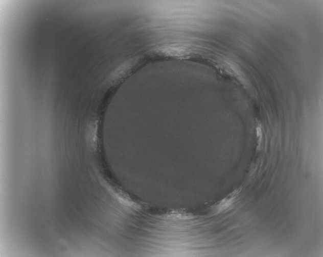 X0000070860404200606302051