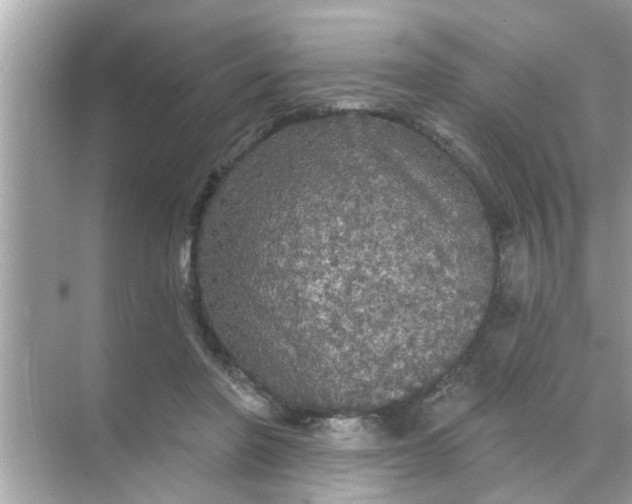 X0000070860406200606302051