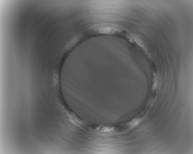 X0000070860407200606302051