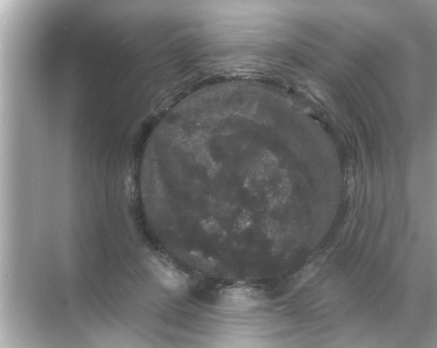 X0000070860408200606302051