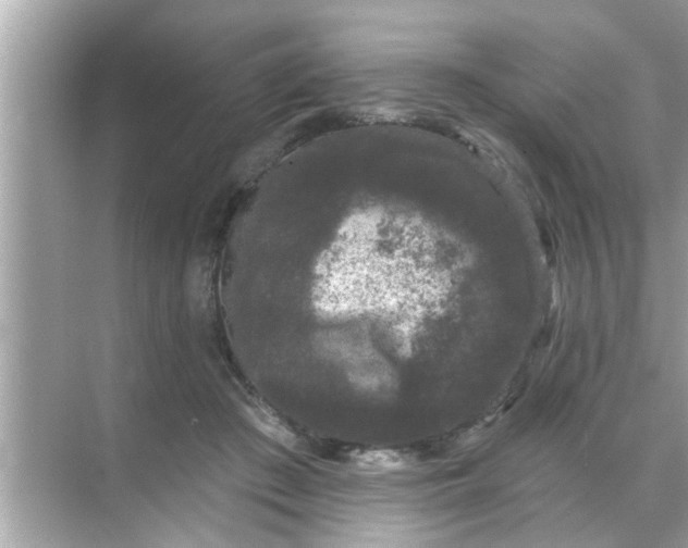 X0000070860409200606302051