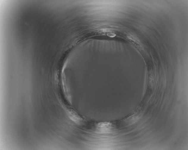 X0000070860410200606302051