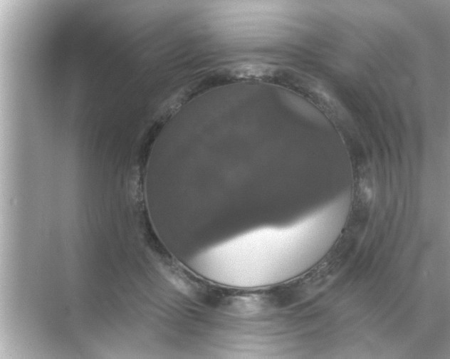 X0000070860411200606302051