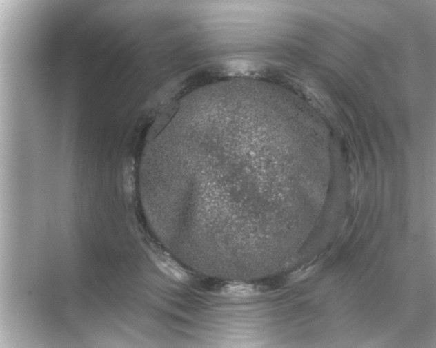 X0000070860413200606302051