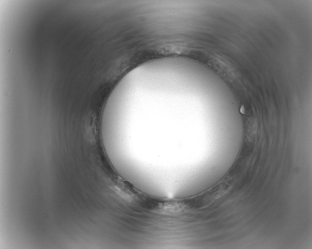 X0000070860414200606302051