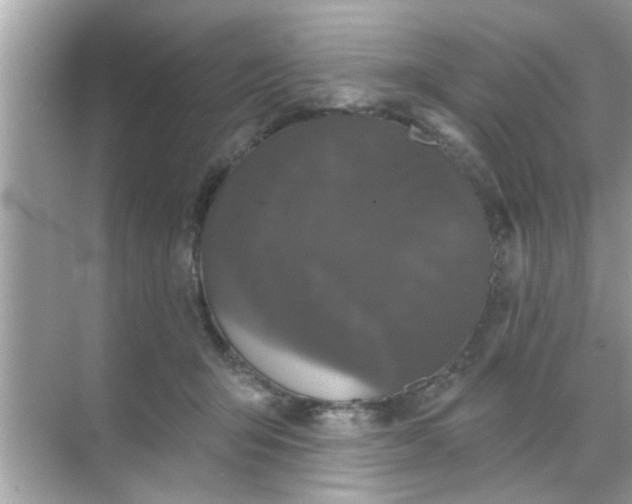 X0000070860415200606302051