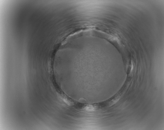 X0000070860416200606302051