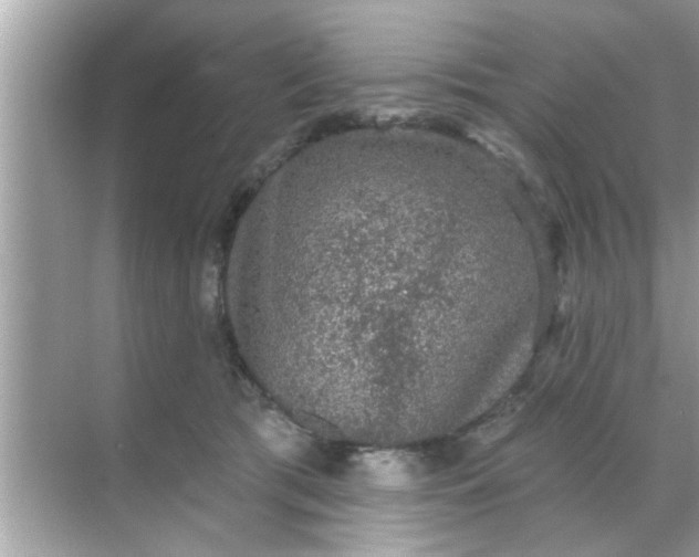 X0000070860417200606302051