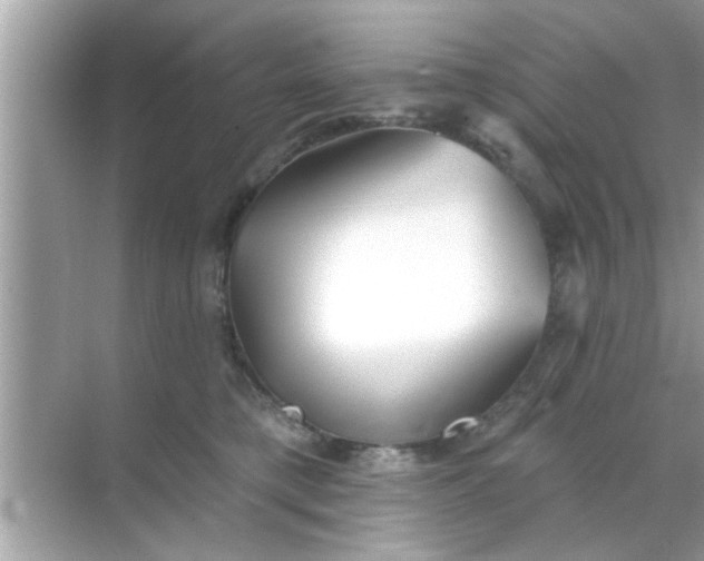 X0000070860421200606302051