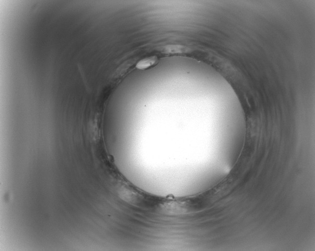 X0000070860422200606302051