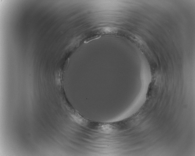 X0000070860423200606302051