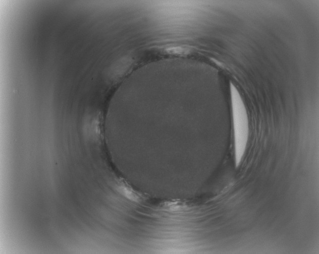 X0000070860424200606302051