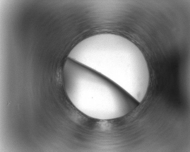 X0000070860425200606302051