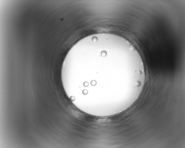 X0000070860426200606302051