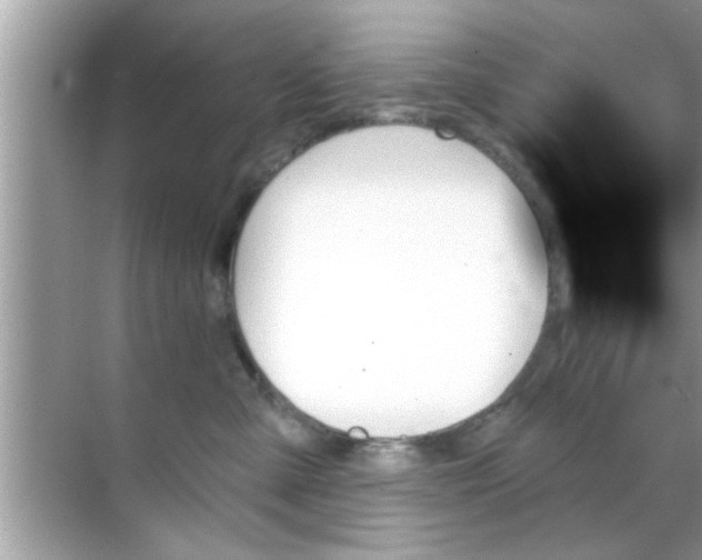 X0000070860427200606302051