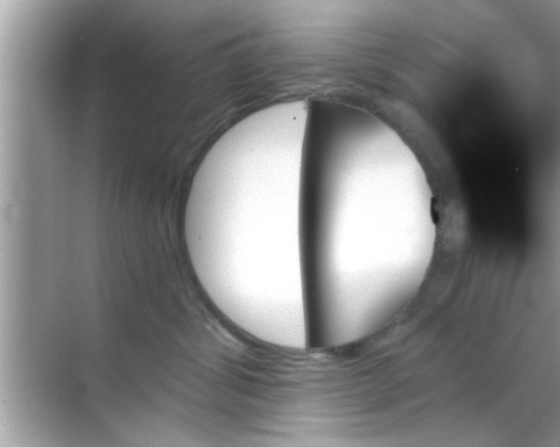 X0000070860428200606302051