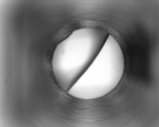 X0000070860429200606302050