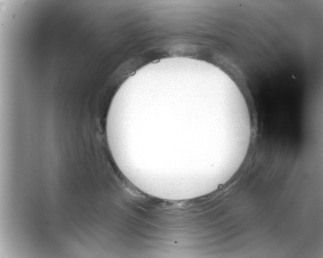 X0000070860430200606302050