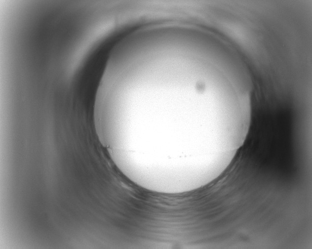 X0000070860431200606302050