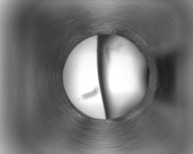 X0000070860432200606302050