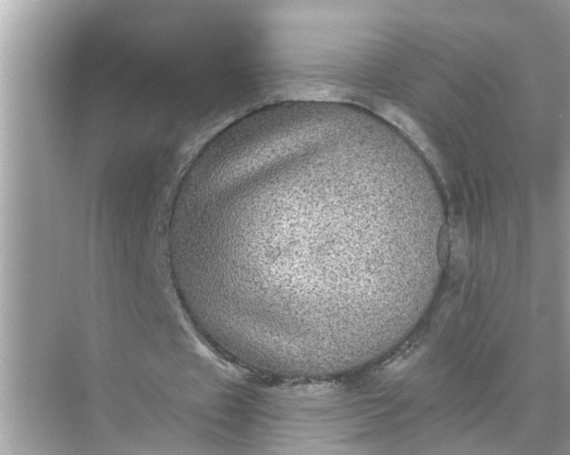 X0000070860433200606302050