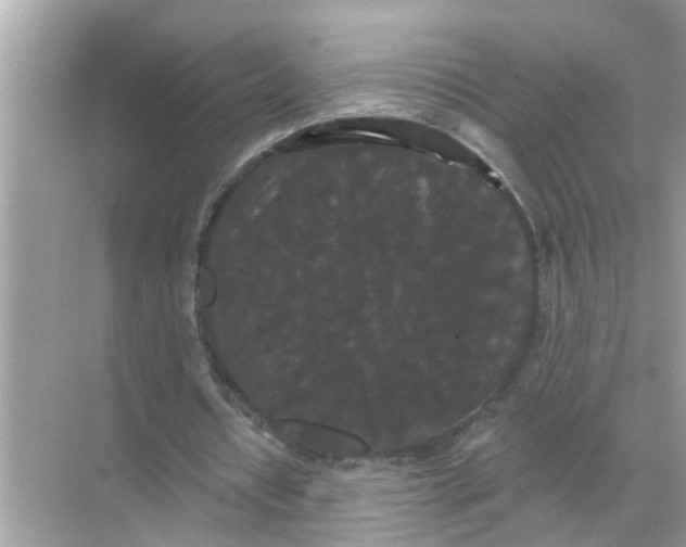 X0000070860434200606302050