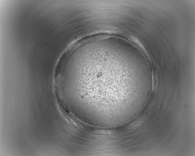 X0000070860435200606302050