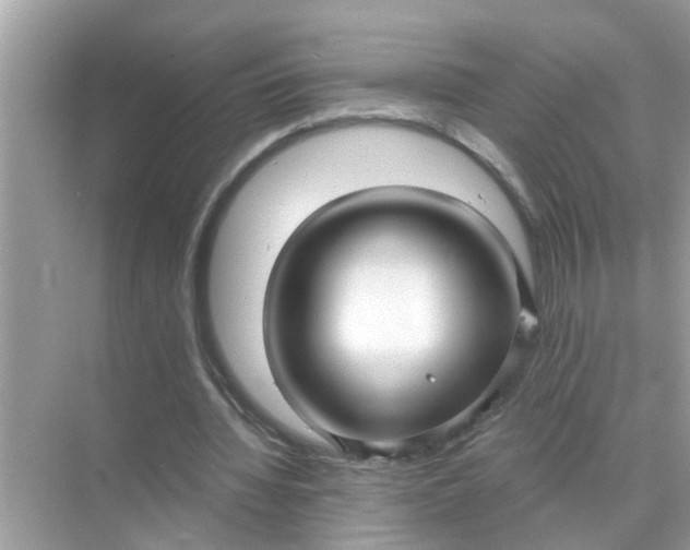 X0000070860436200606302050