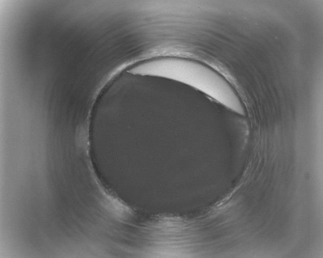 X0000070860438200606302050