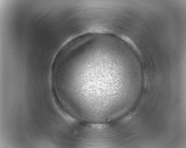 X0000070860439200606302050