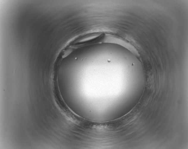 X0000070860440200606302050