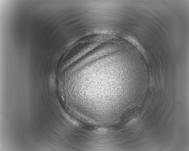 X0000070860441200606302050