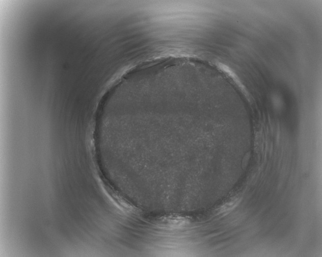 X0000070860443200606302050