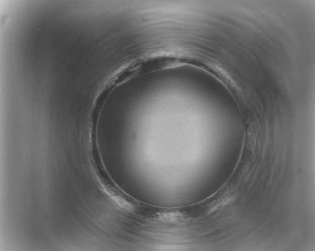 X0000070860446200606302050