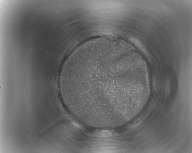 X0000070860449200606302050